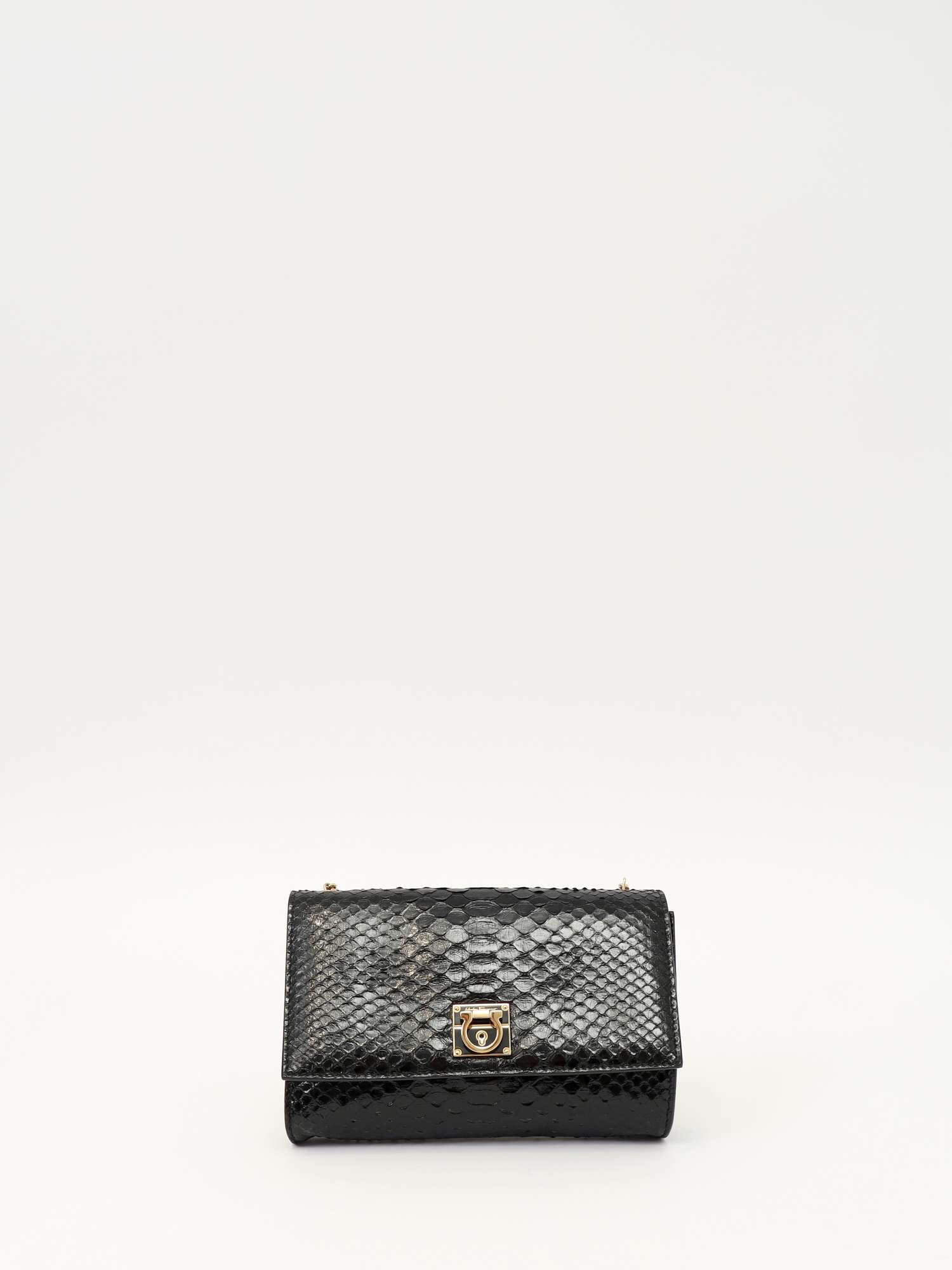 Salvatore Ferragamo Leather Bag