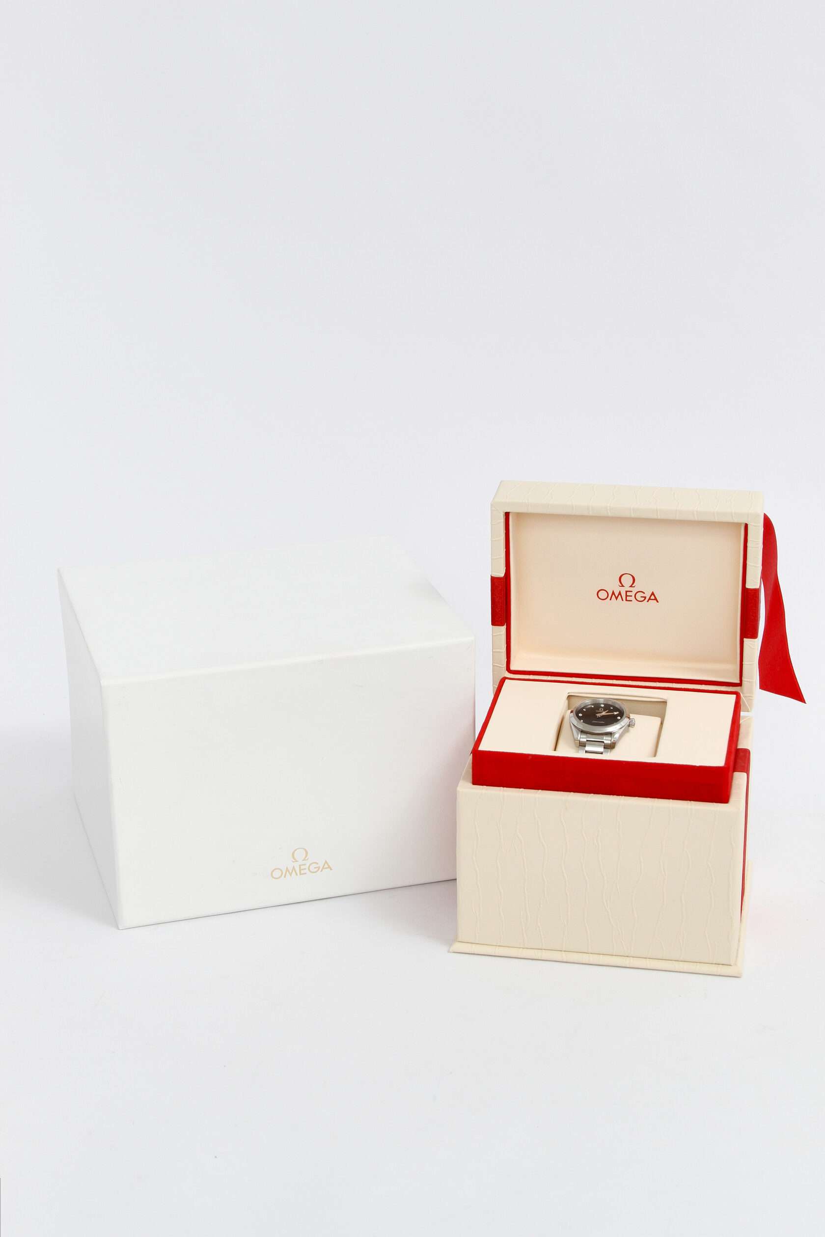 Omega Seamaster 5
