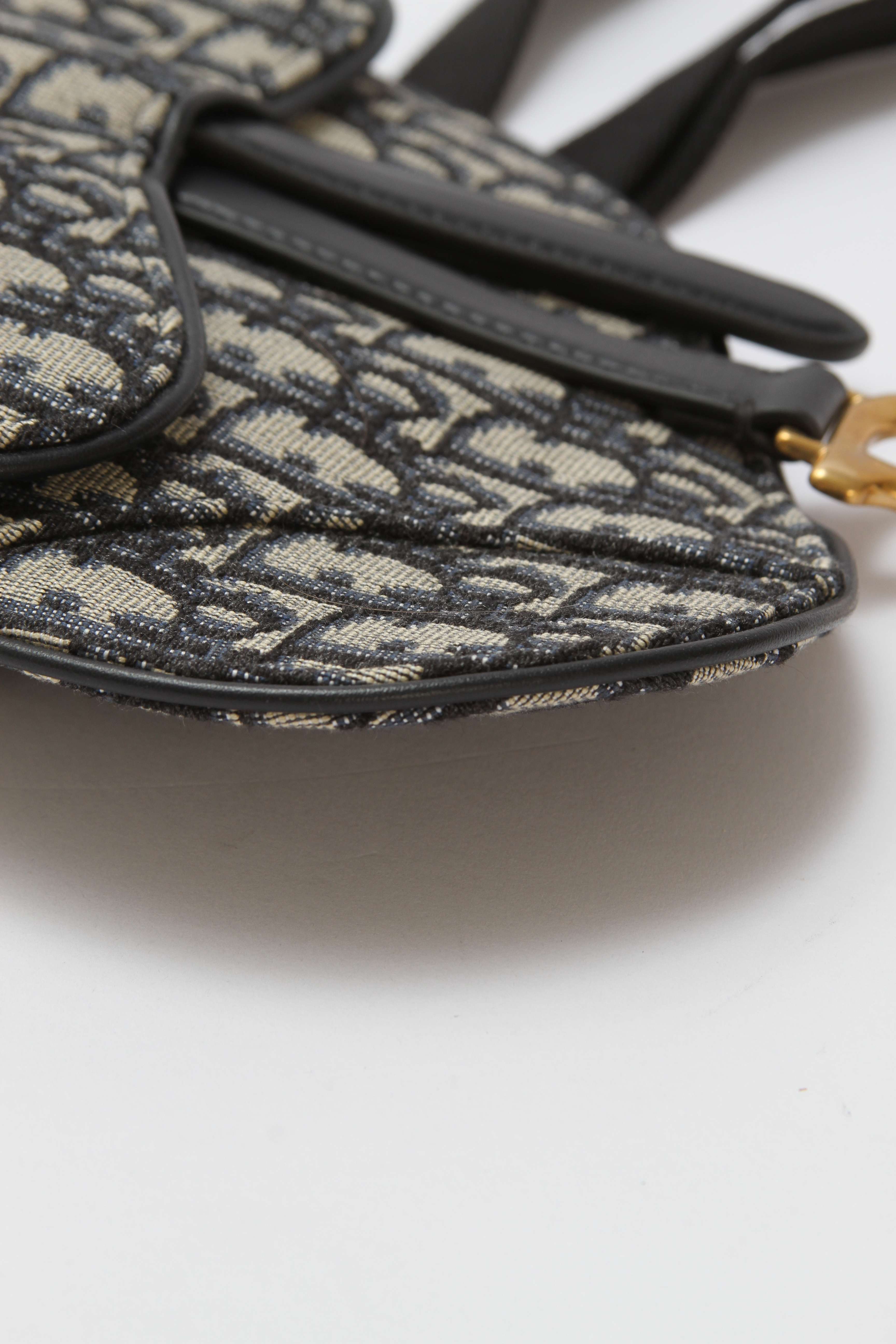 Dior Saddle Belt 5