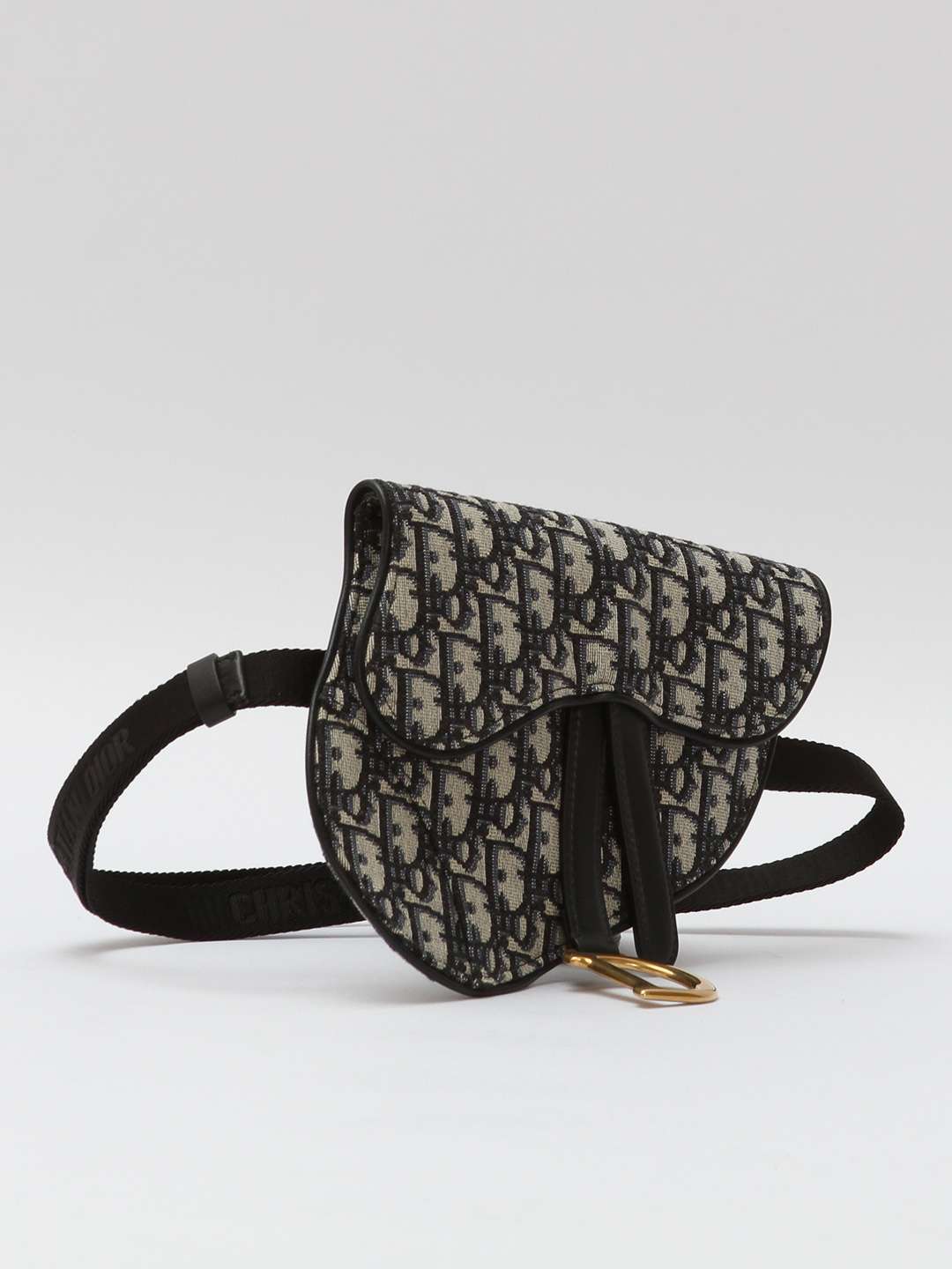 Dior Saddle Belt 2