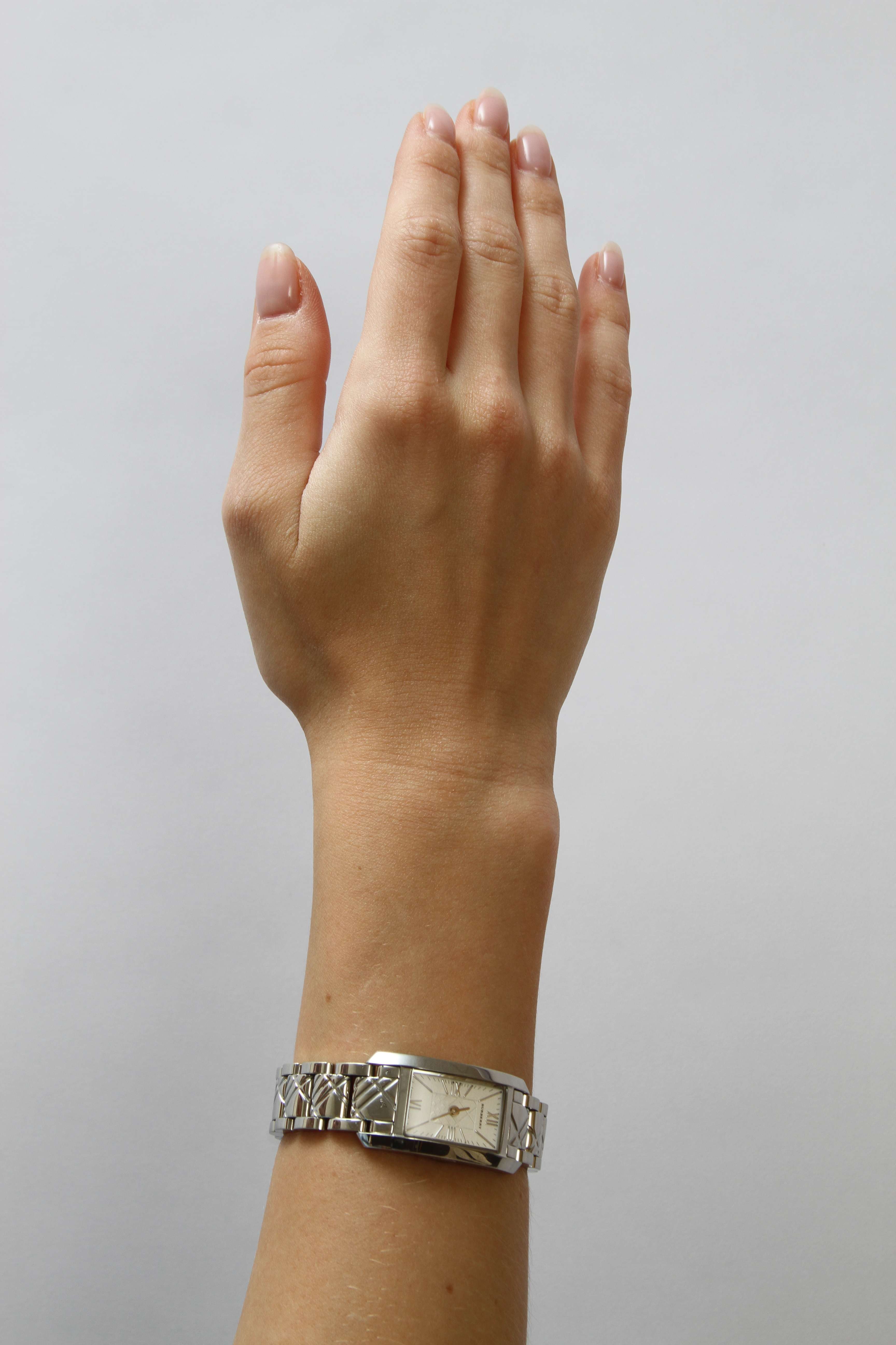 Burberry Watch 2