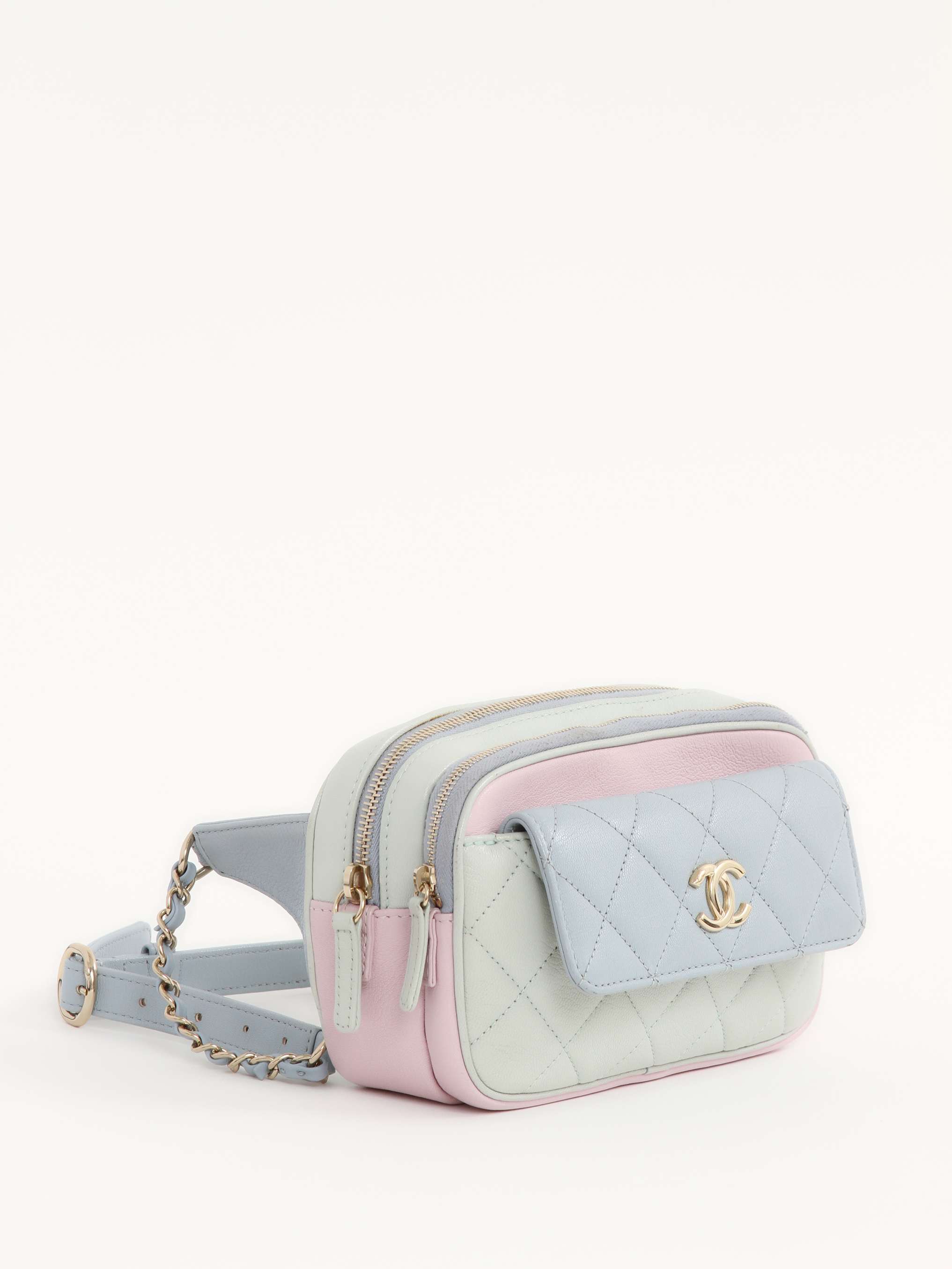 Chanel Leather Bag  2