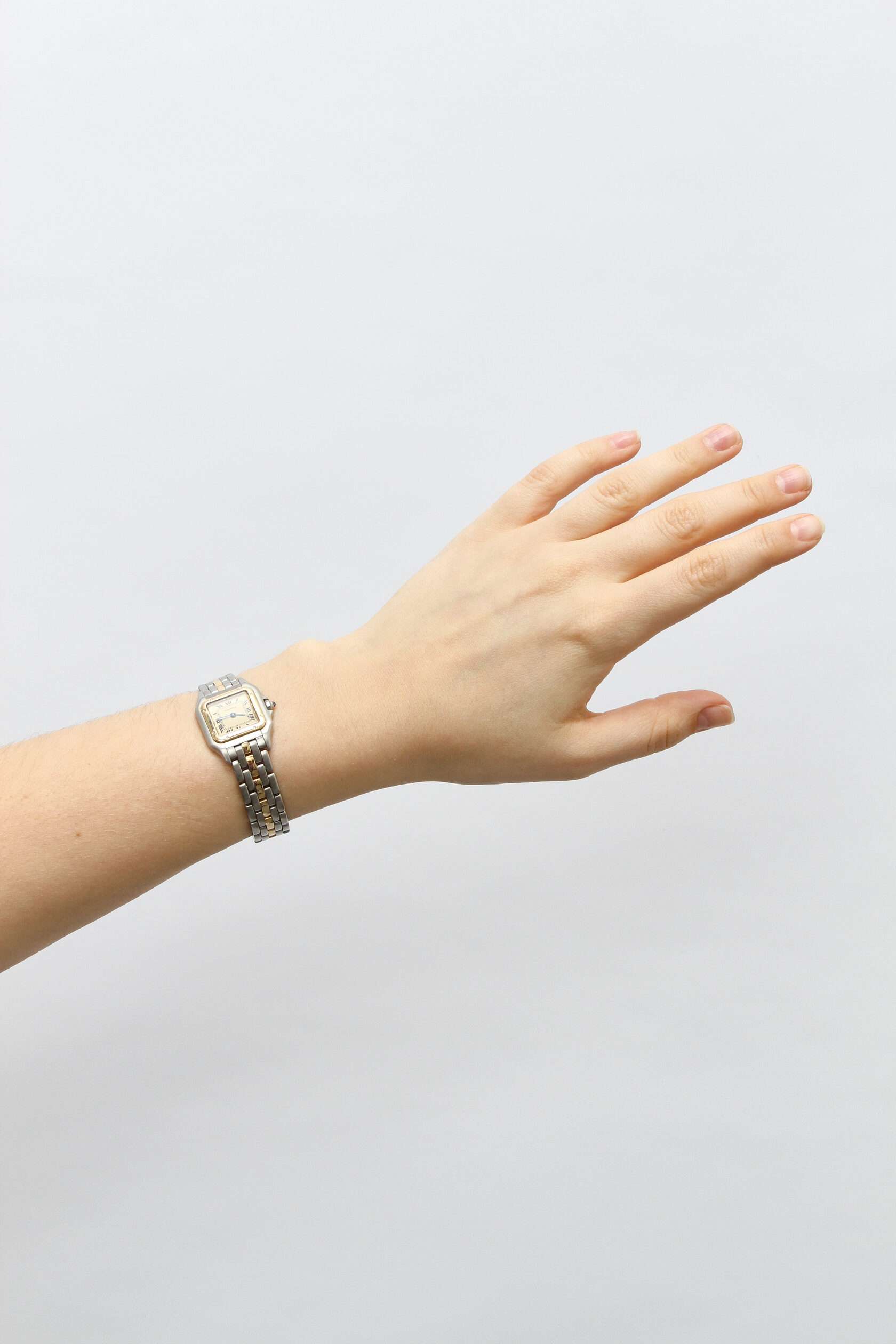 Cartier Panthère de Cartier 5
