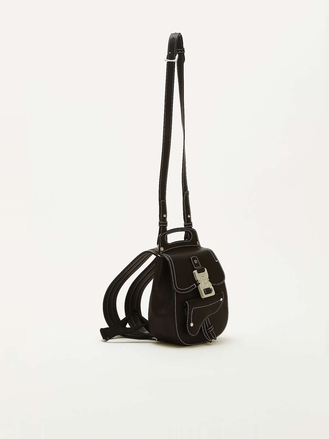 Dior Saddle 5