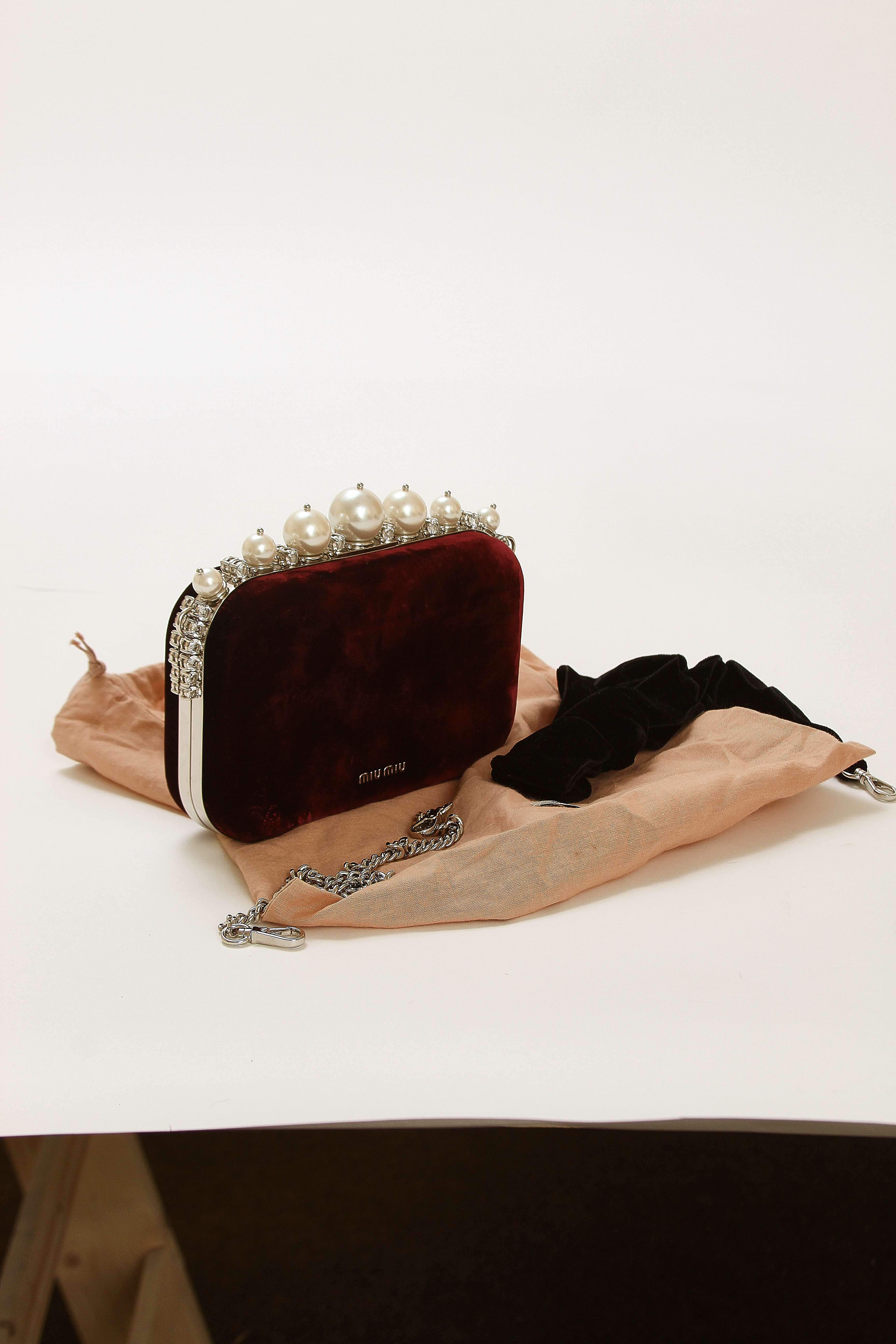 Miu Miu Clutch 5