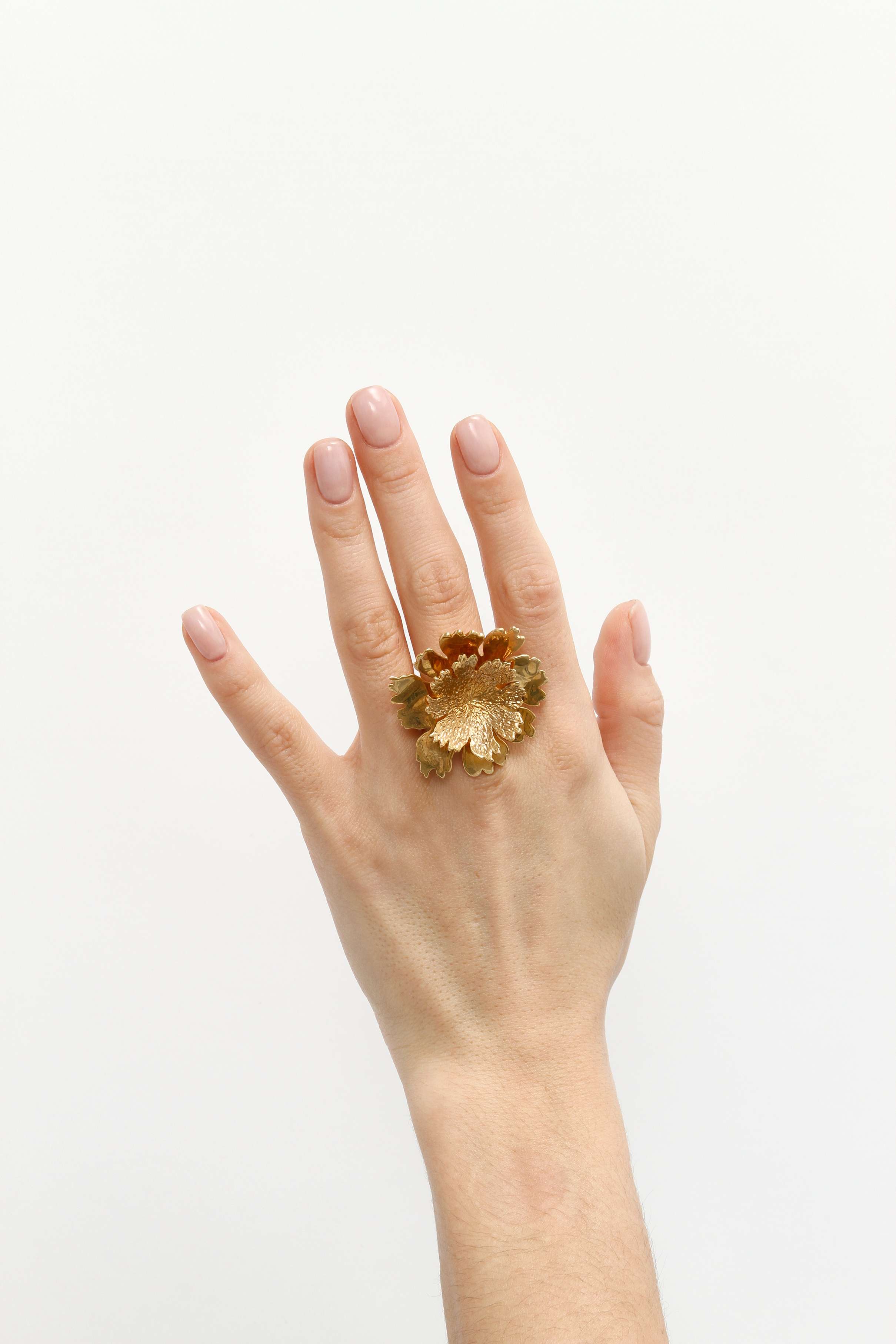 Украшения Alexander Mcqueen Ring изображение #6
