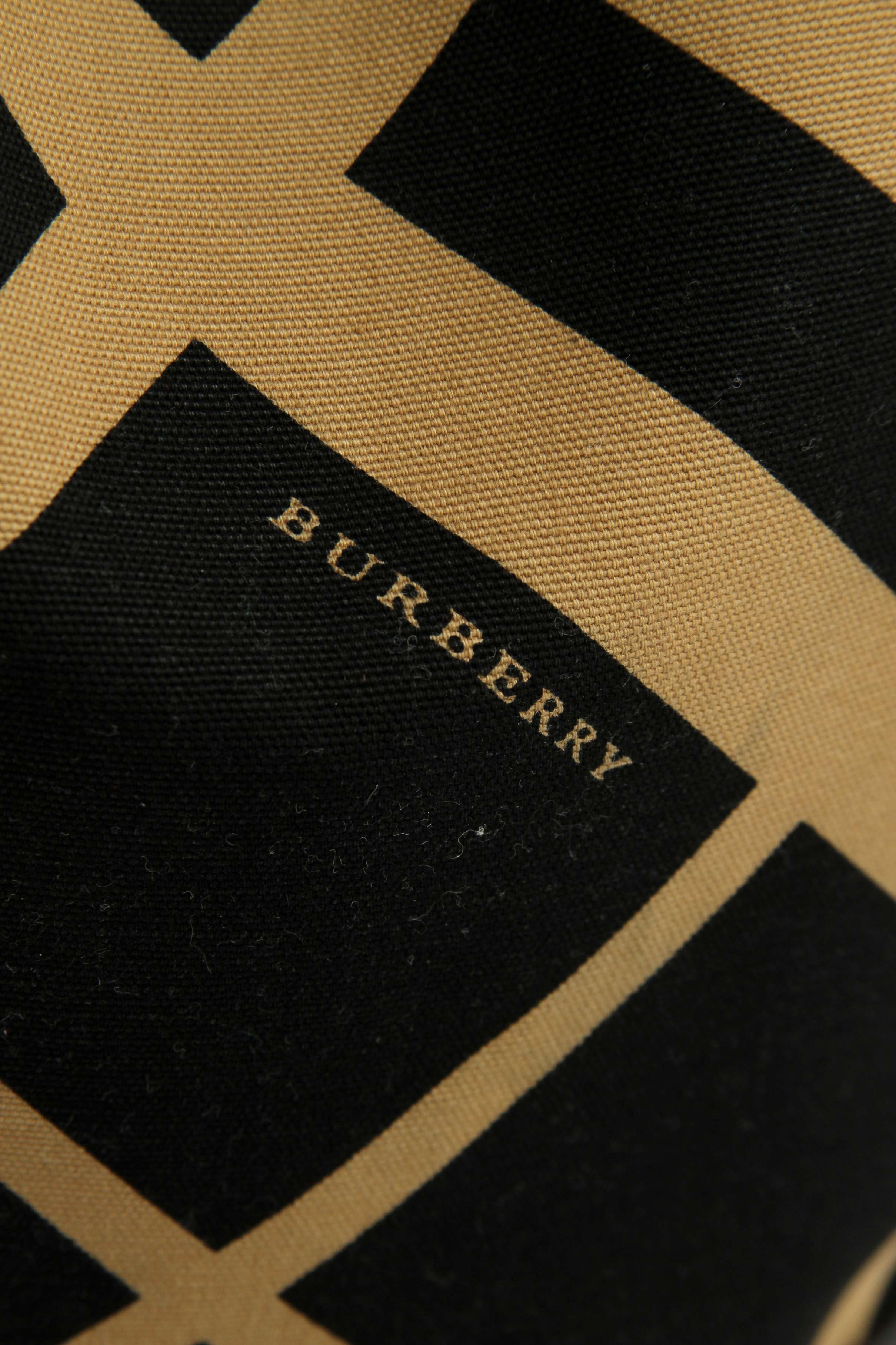 Burberry Textile Bag 5