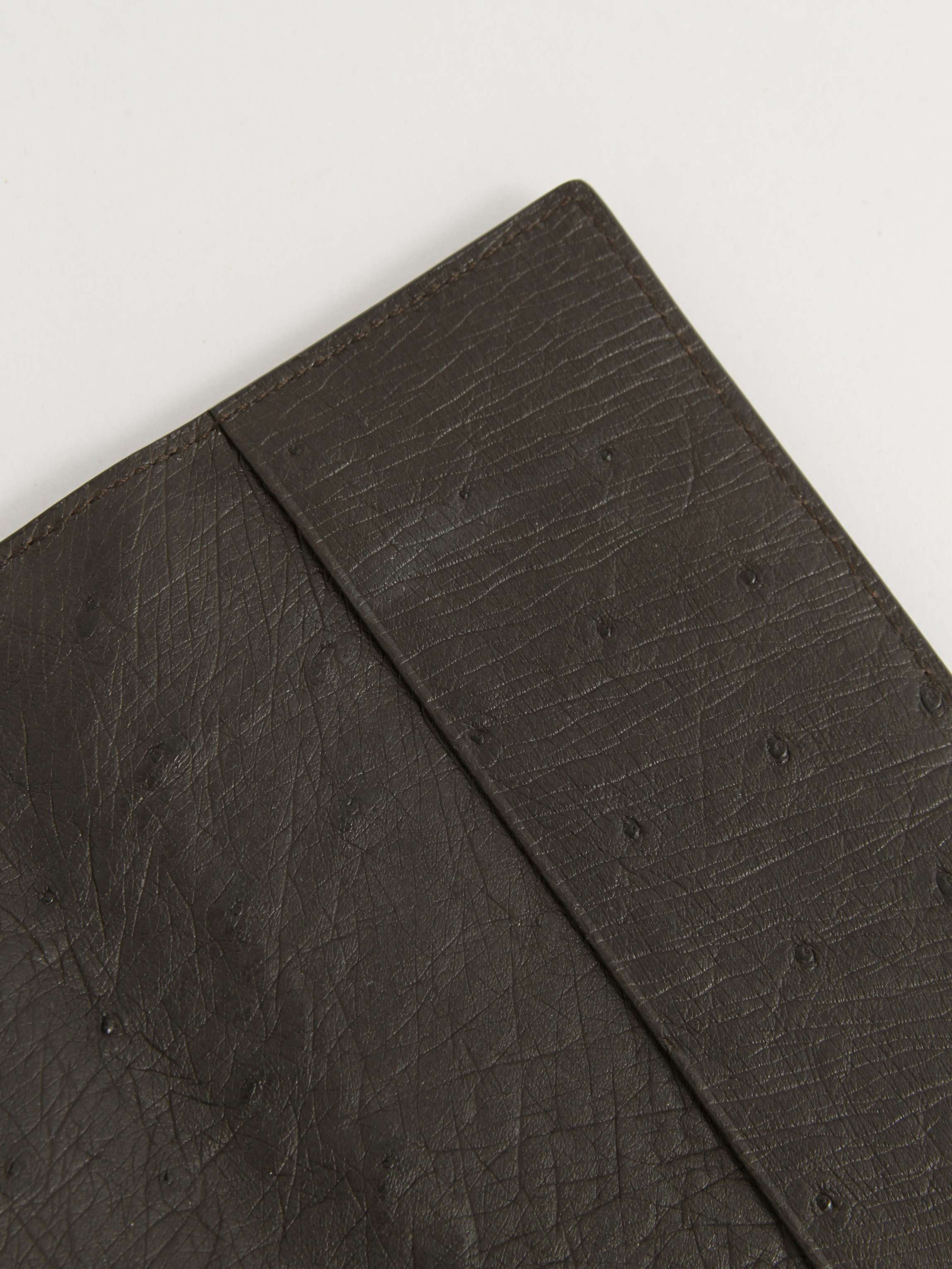 Bottega Veneta Cover for documents 5