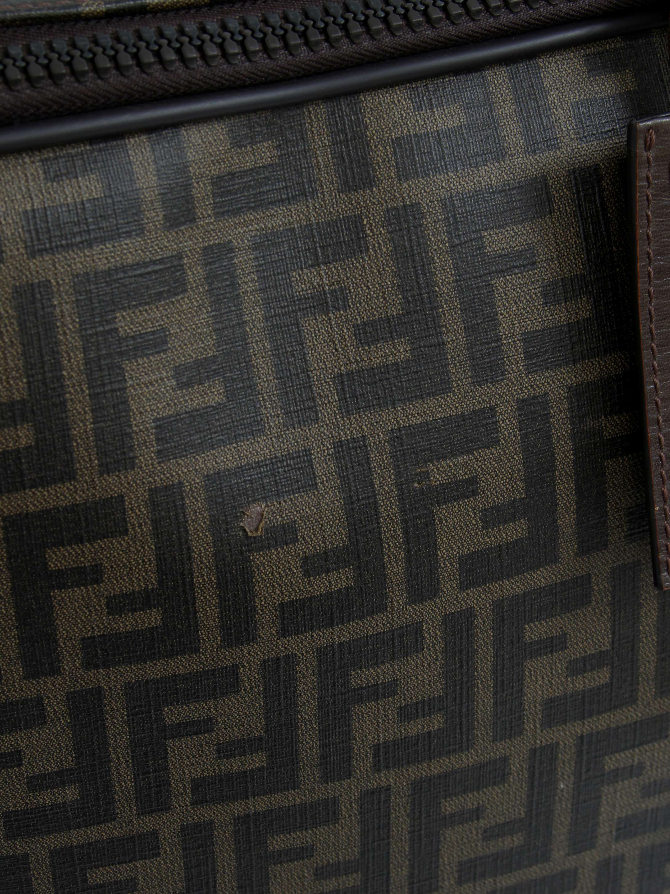 Fendi Canvas Bag 5