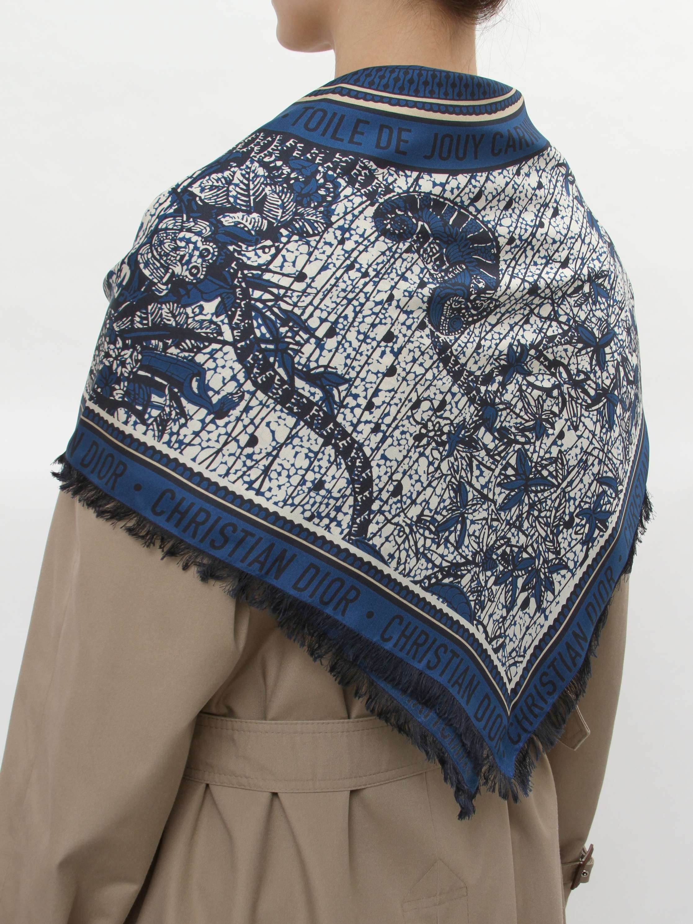 Аксессуары Christian Dior Silk Scarf изображение #8