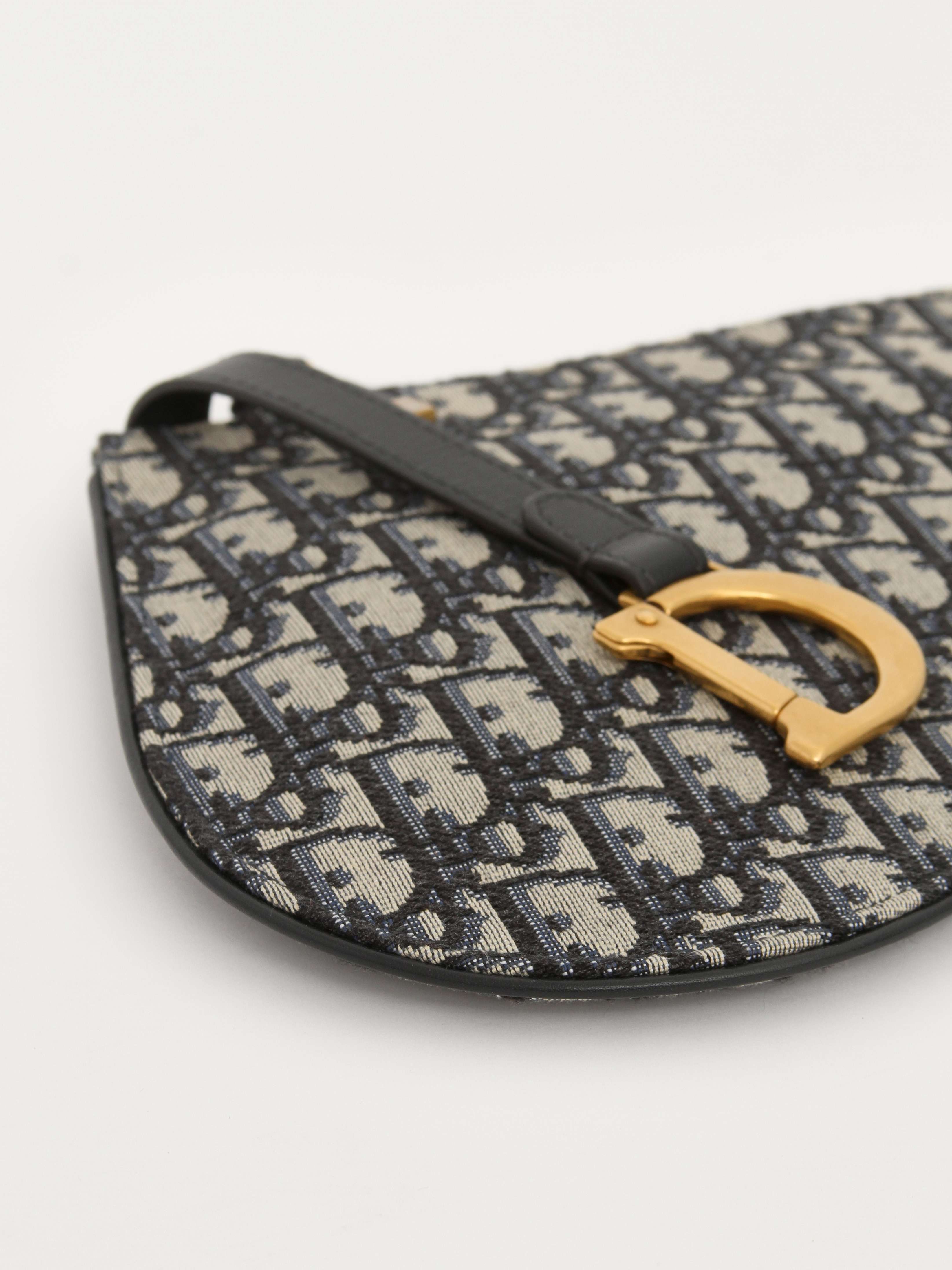 Dior Saddle  5