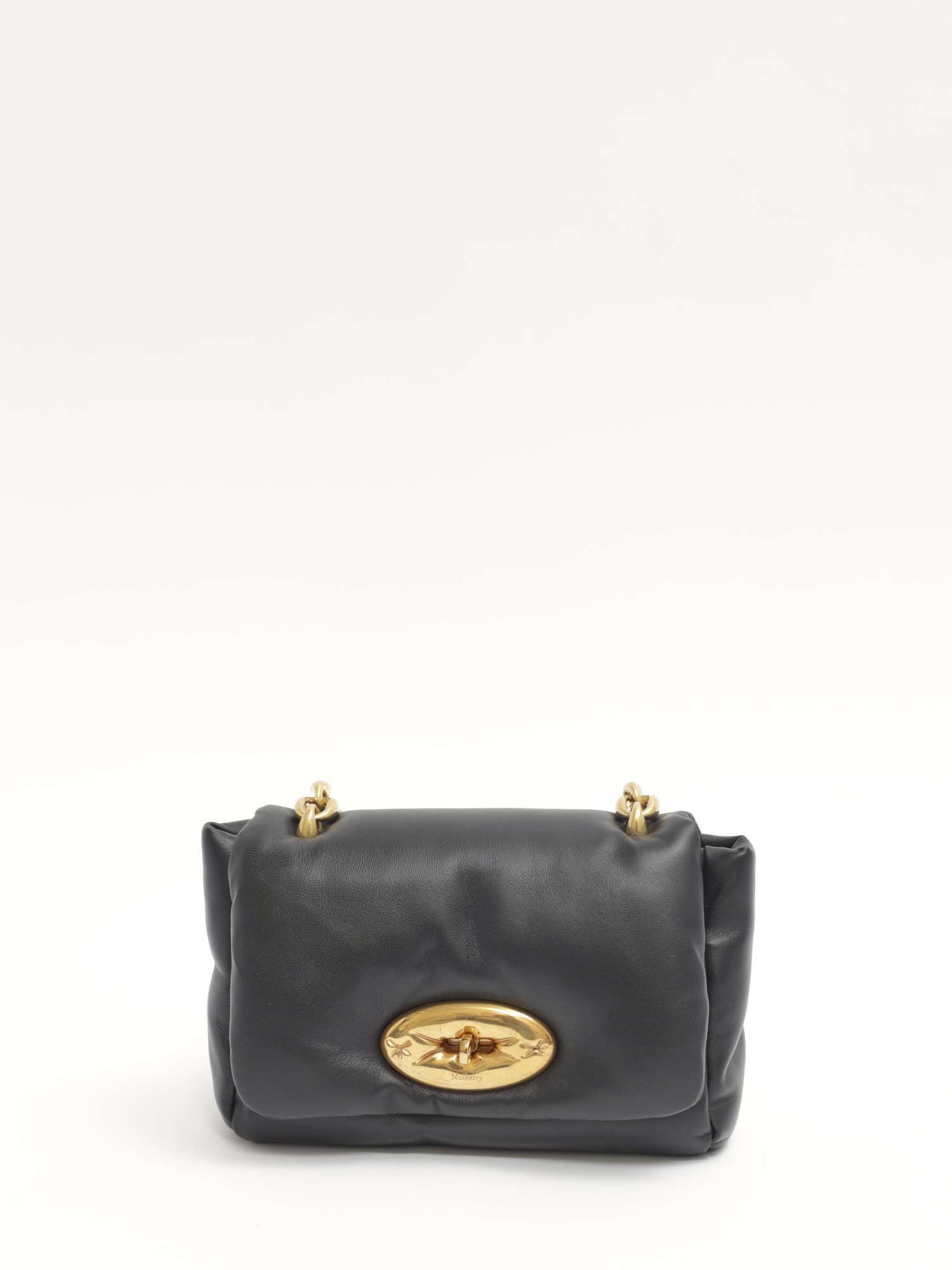Mulberry Lily 