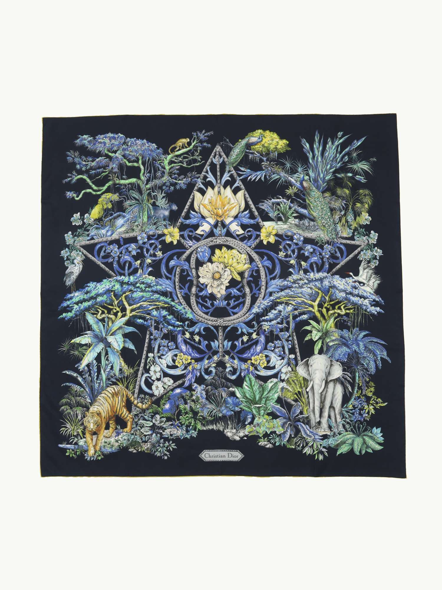 Dior Silk Scarf