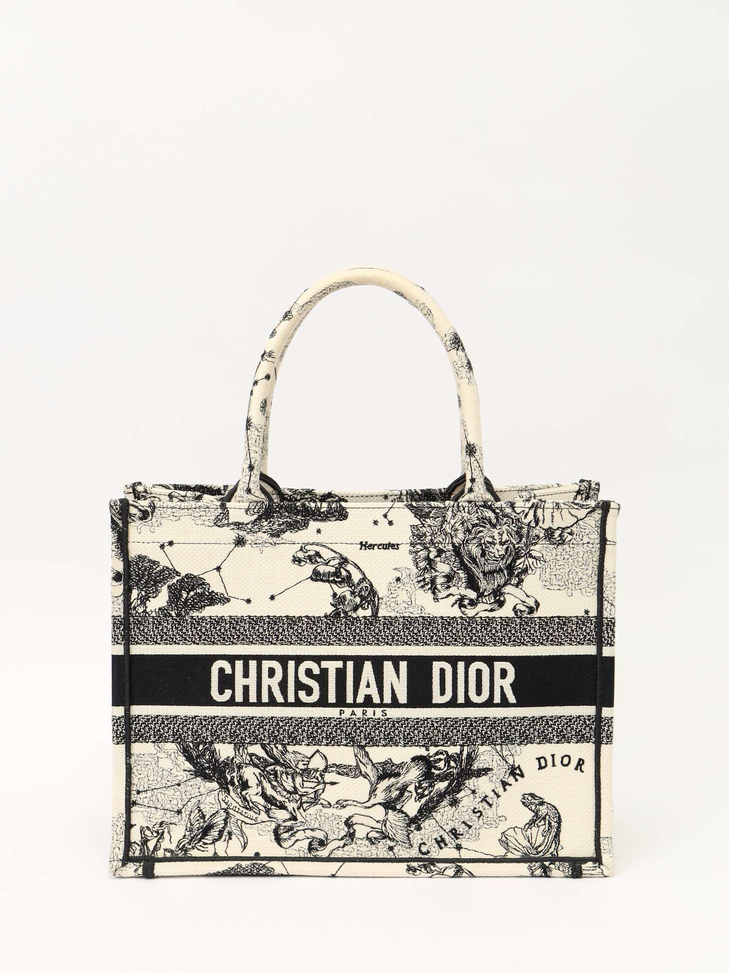 Dior Book Tote
