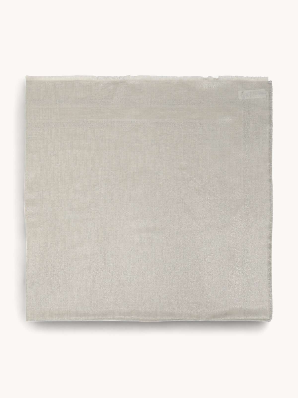 Dior Scarf 