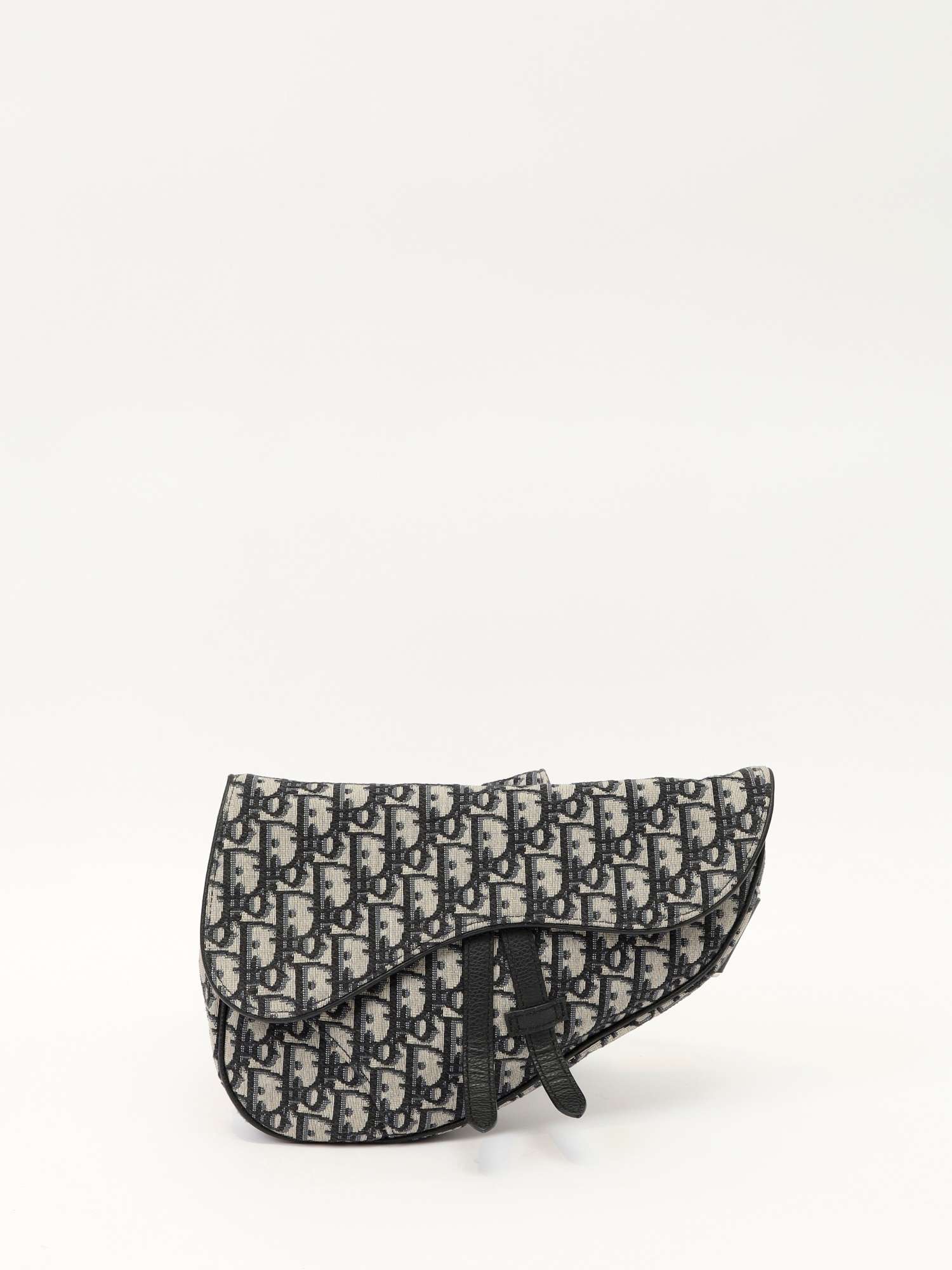 Dior Saddle 