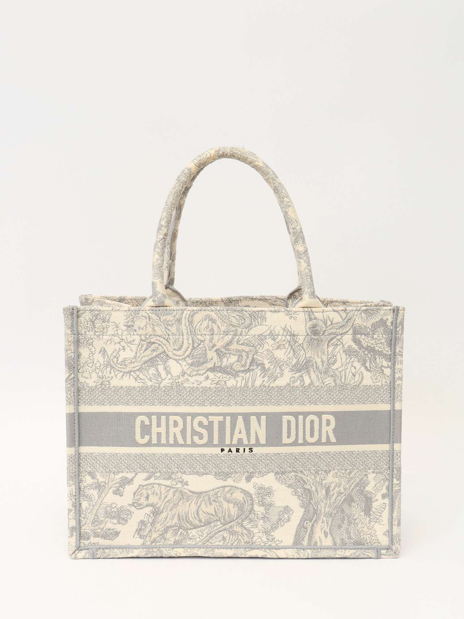 Dior Book Tote 
