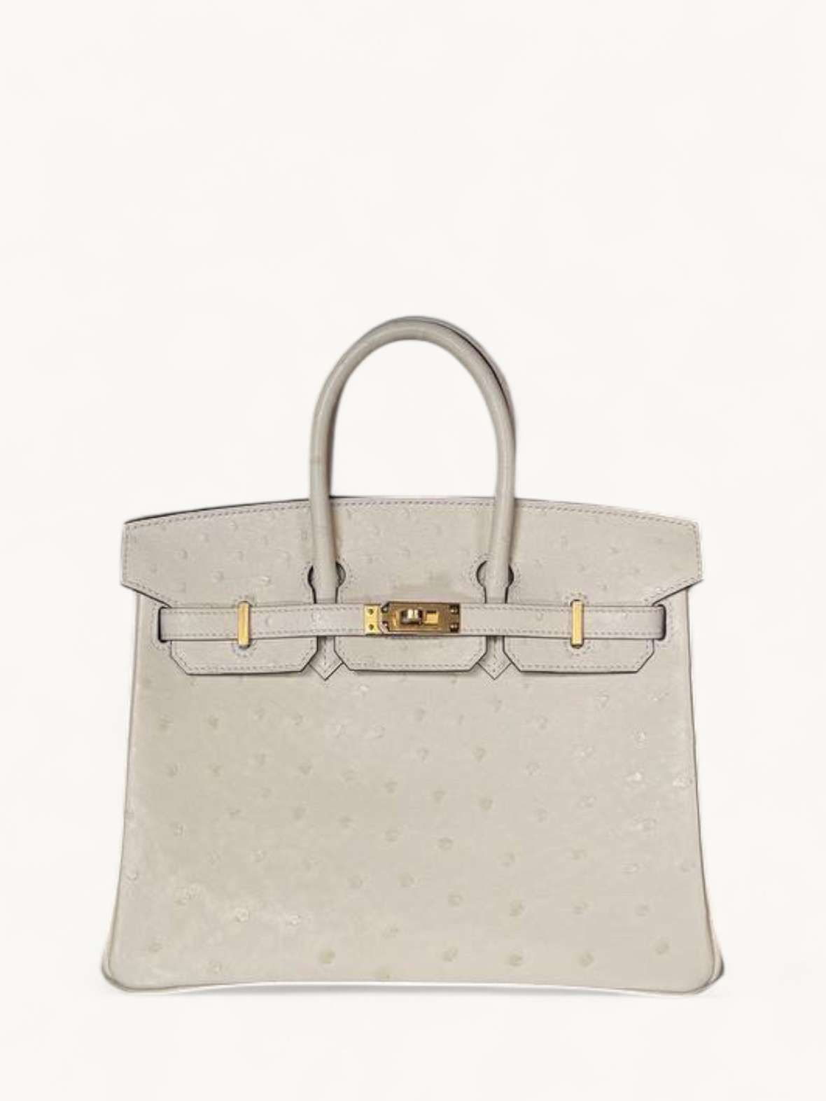 Hermes Birkin 25