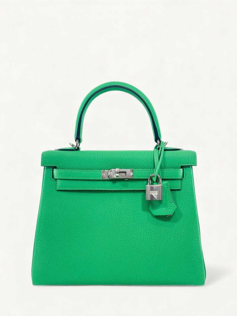 Сумки Hermes Kelly 25 изображение #1