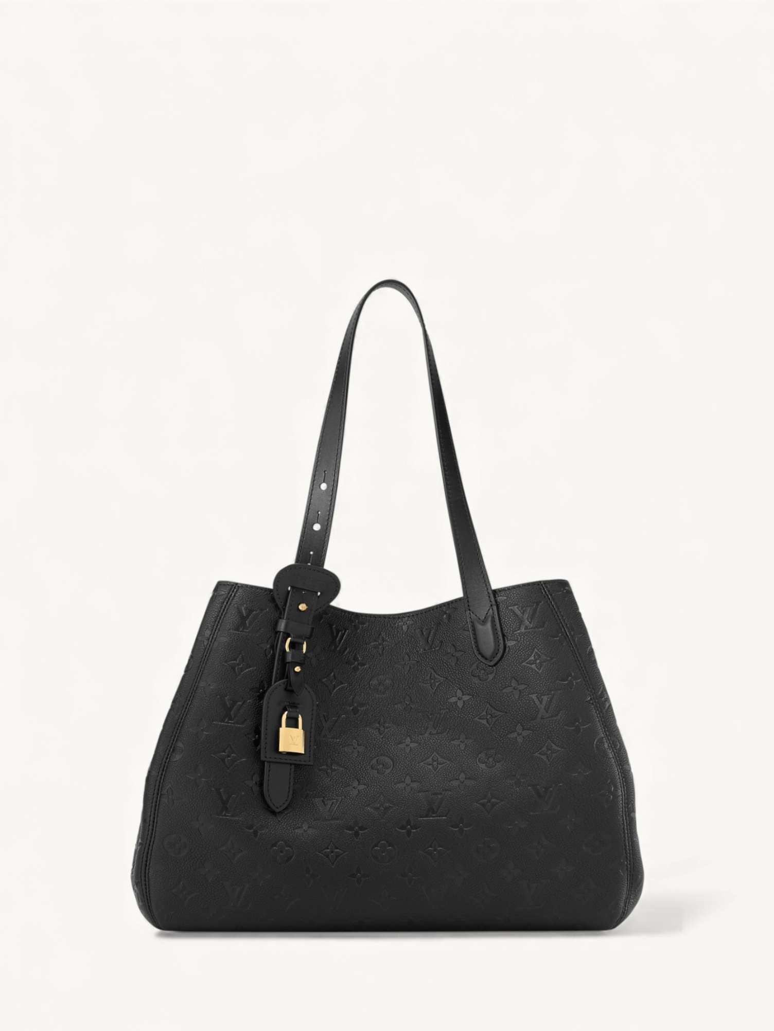 Louis Vuitton All In One 