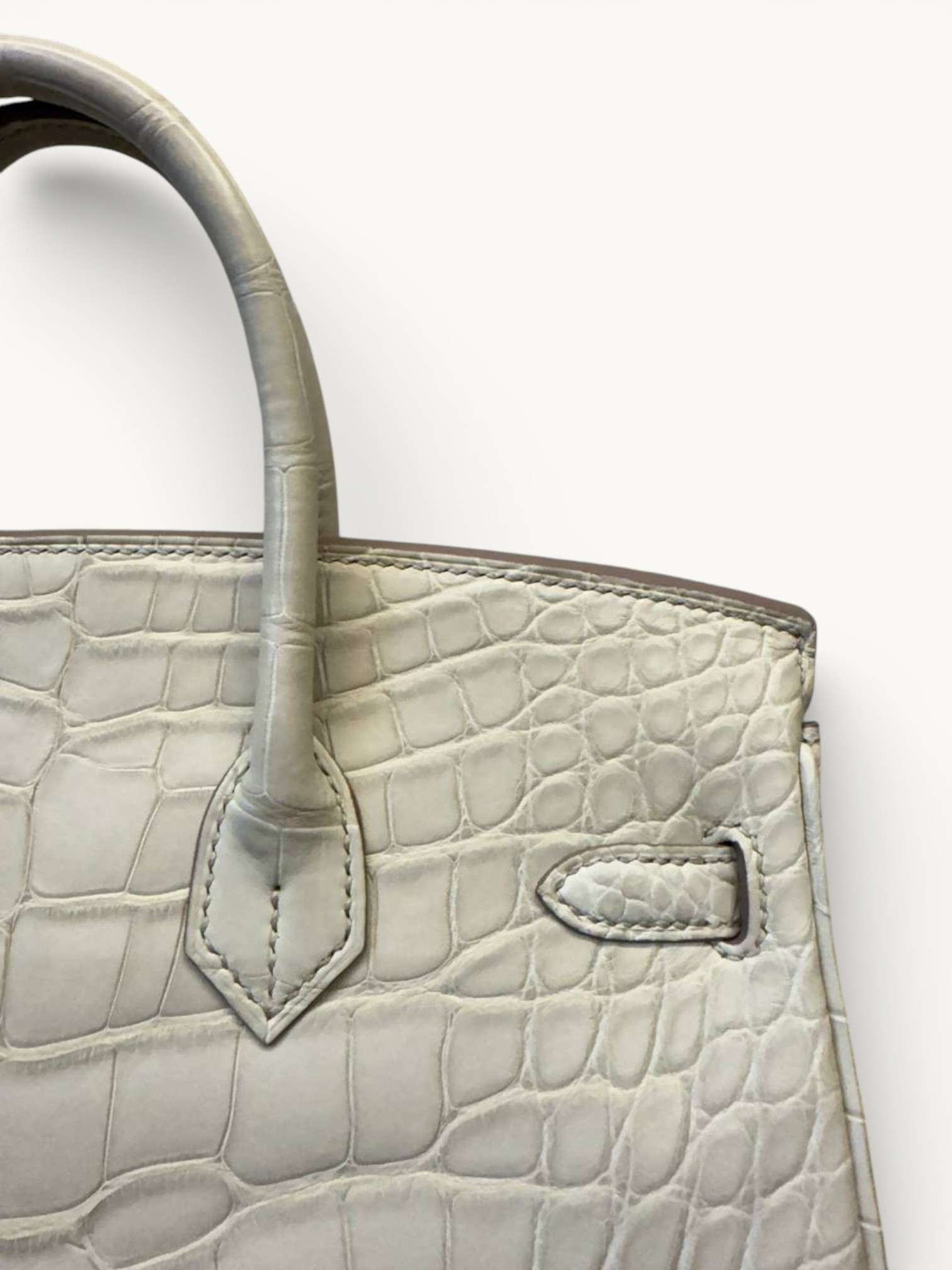 Сумки Hermes Birkin 25 изображение #6