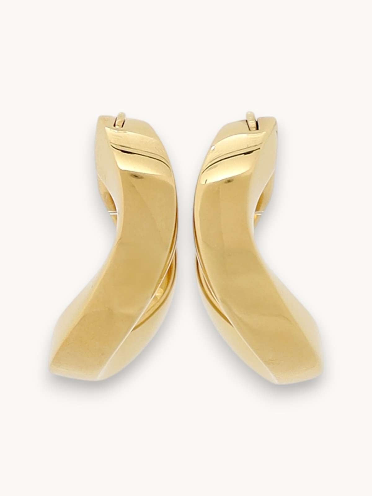 Celine Earrings